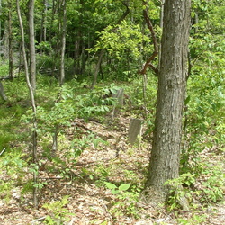 Cemeteries, Clarion County